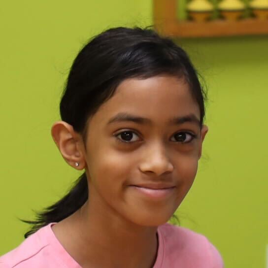 Arya S