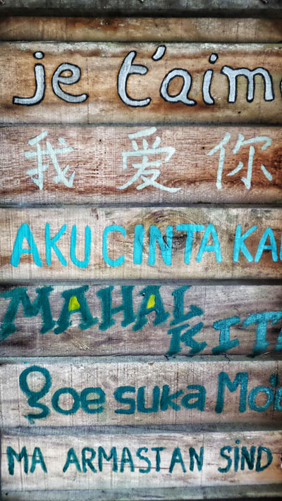 Why teach multiple languages to your child