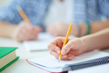 Essay writing